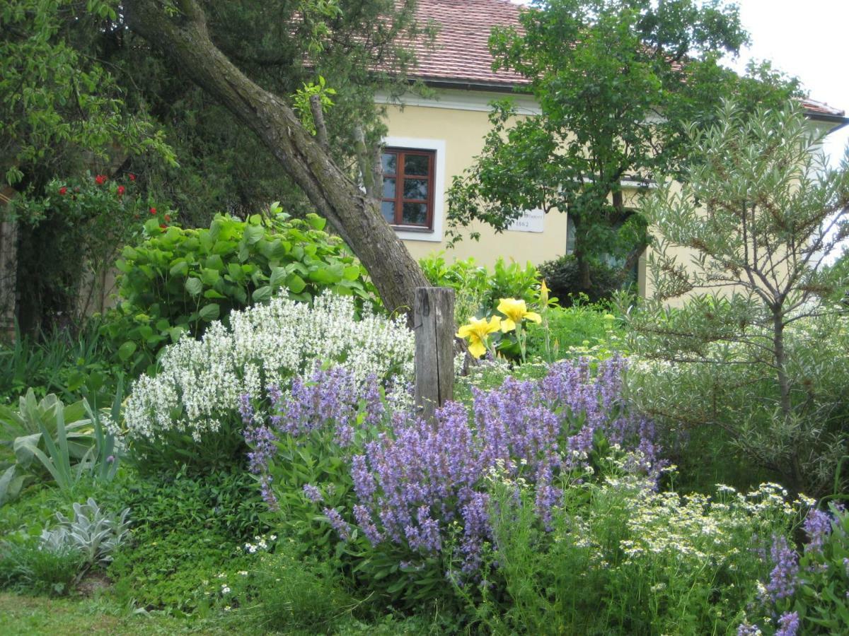 Bed and Breakfast Mala Kmetija Словенске-Конице Экстерьер фото